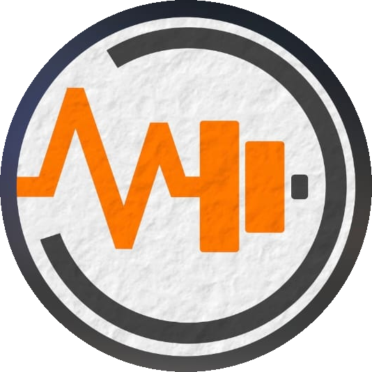 Logo LAMIE